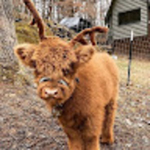 Meet your Posher, Josephine